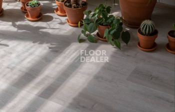 Vinilam Click 3.7мм 20468 Дуб Ален фото 3 | FLOORDEALER